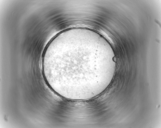 X0000093261084200710241328