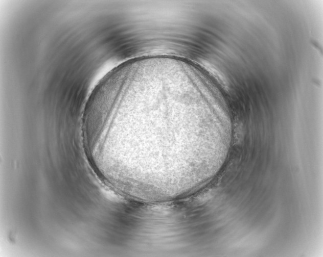 X0000093261086200710241328