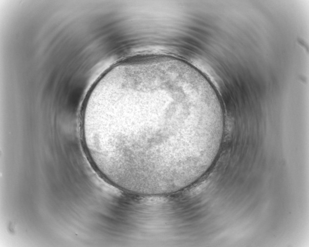 X0000093261090200710241328