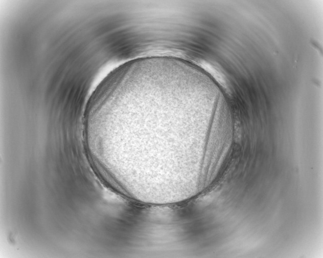 X0000093261094200710241328