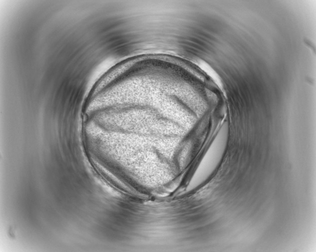 X0000093261096200710241328