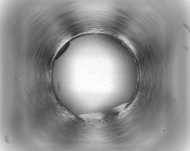 X0000093261097200710241328