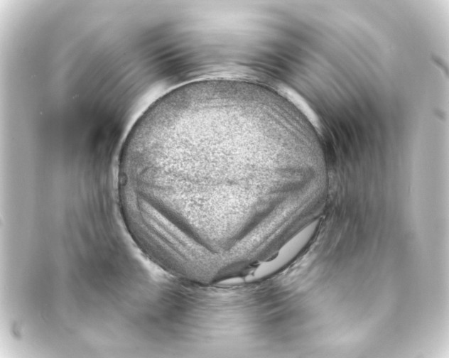 X0000093261099200710241328