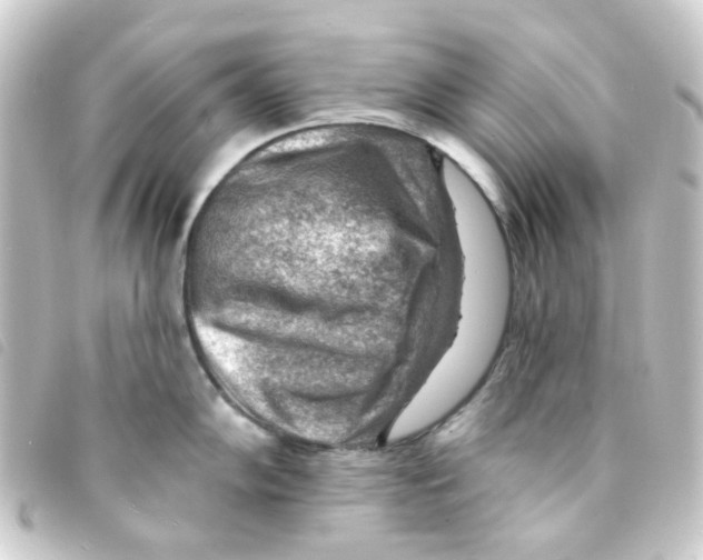 X0000093261102200710241328