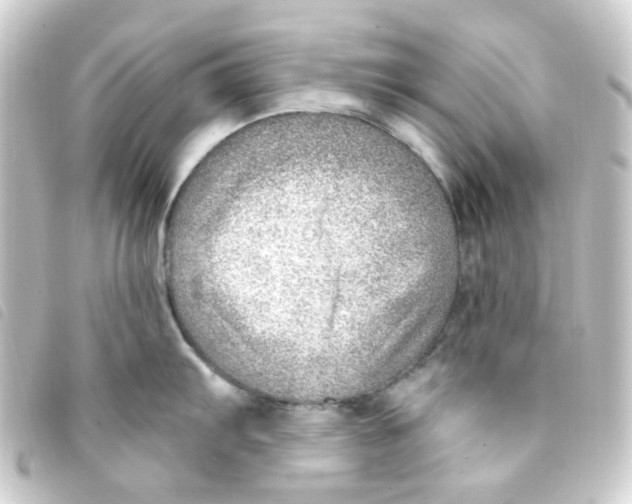 X0000093261103200710241328