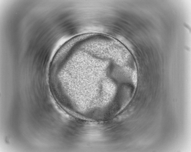 X0000093261104200710241328