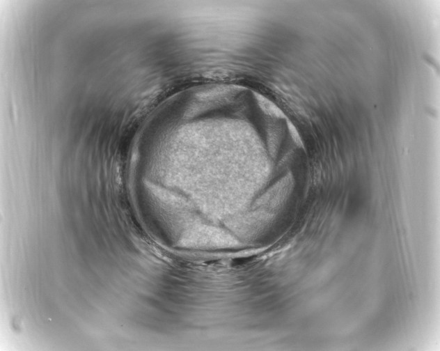 X0000093261106200710241328