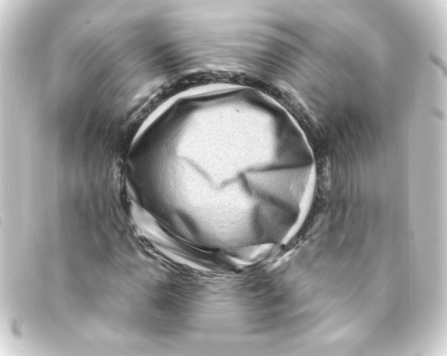 X0000093261110200710241328