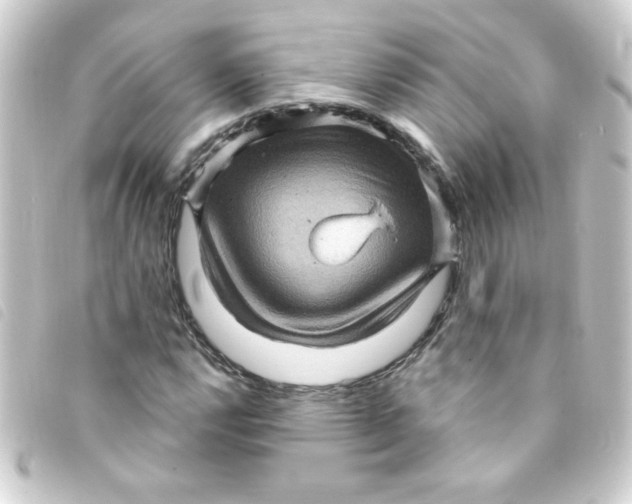 X0000093261112200710241328