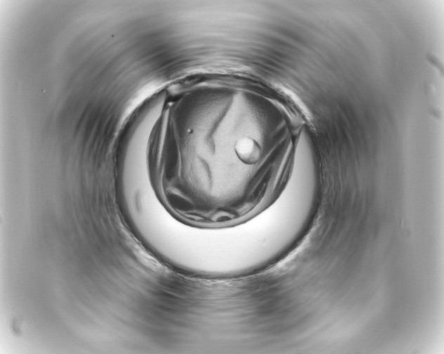 X0000093261114200710241328