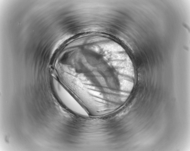 X0000093261117200710241328