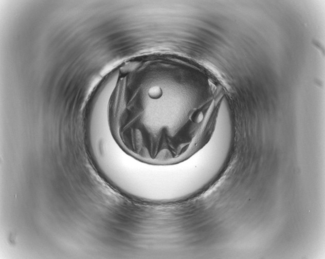 X0000093261118200710241328