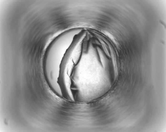 X0000093261120200710241328