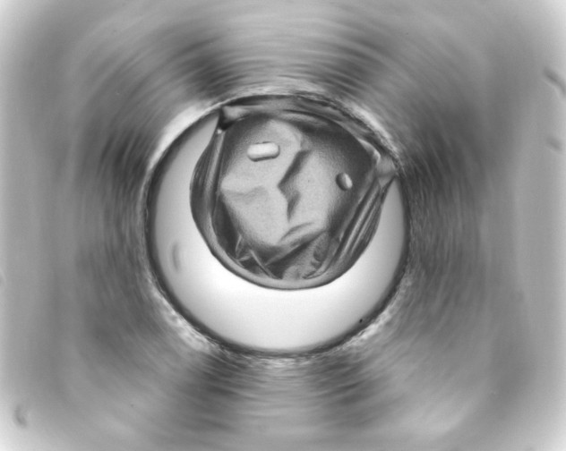 X0000093261122200710241328