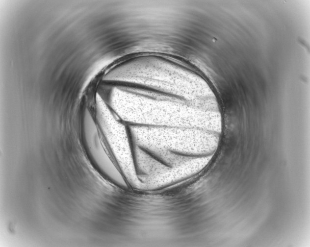 X0000093261123200710241328
