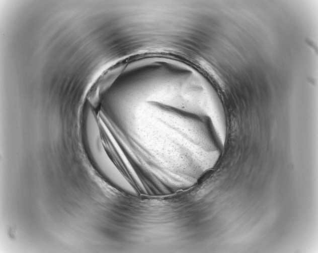 X0000093261124200710241328