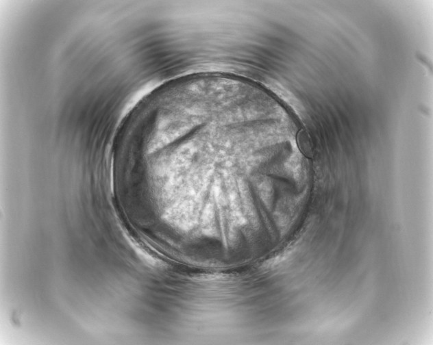 X0000093261127200710241328