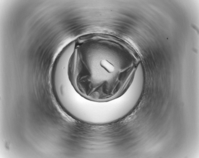 X0000093261128200710241328