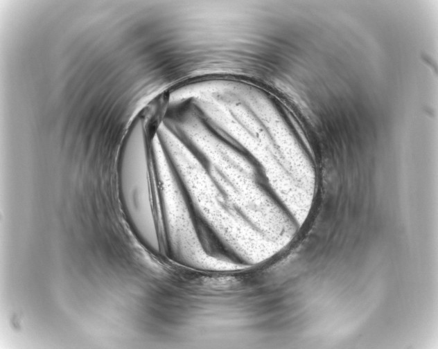 X0000093261129200710241328
