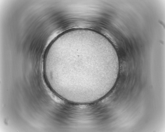 X0000093261130200710241328