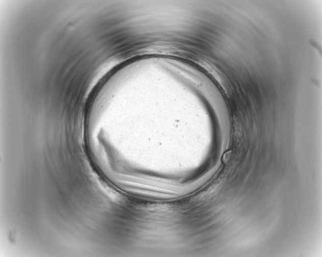 X0000093261131200710241328