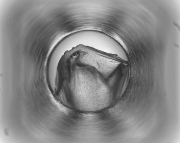 X0000093261132200710241328