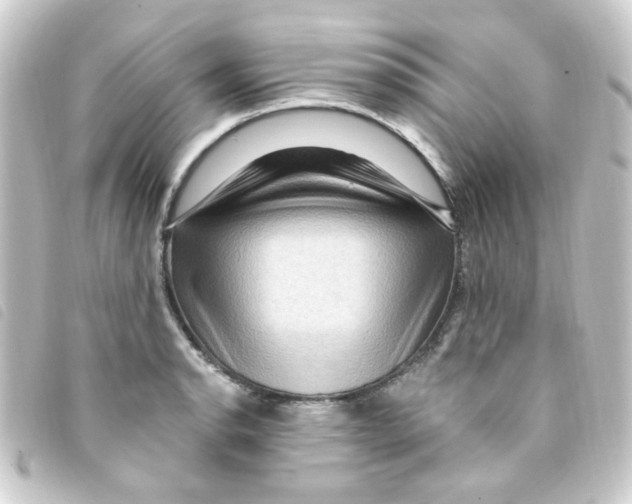 X0000093261134200710241328