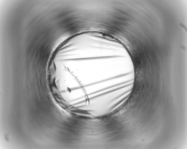 X0000093261135200710241328