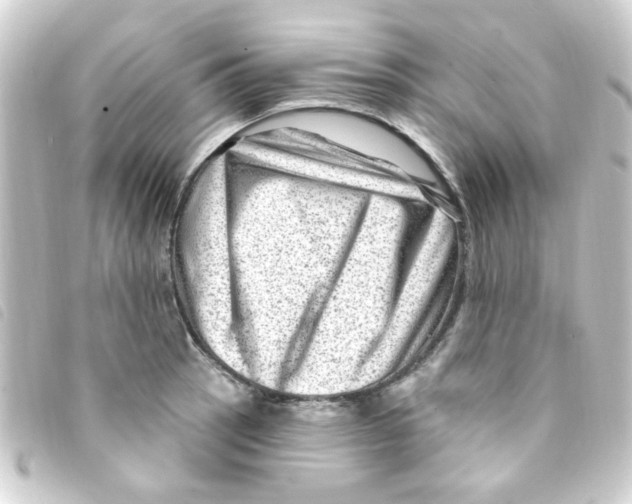 X0000093261137200710241328