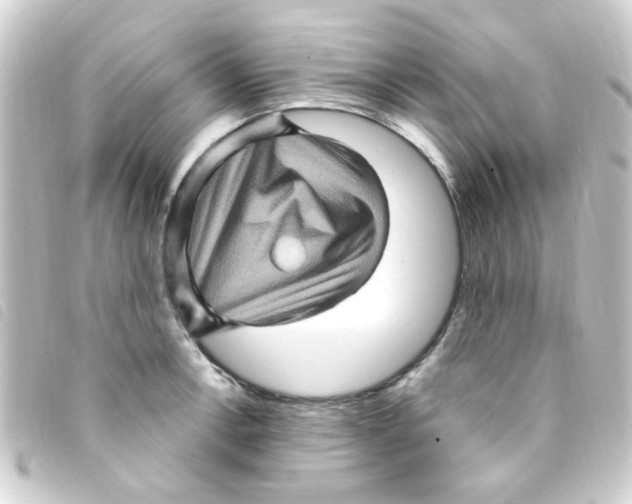 X0000093261138200710241328