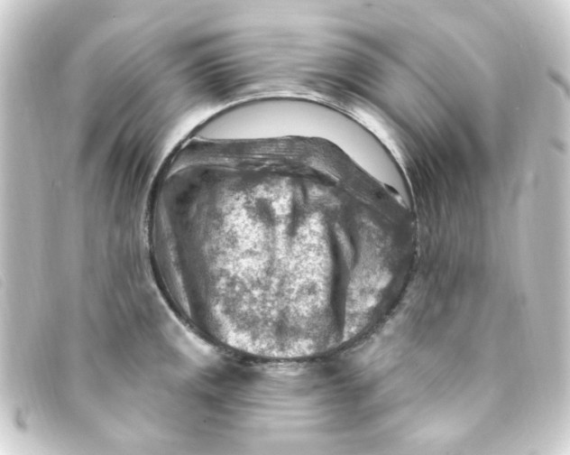 X0000093261141200710241328