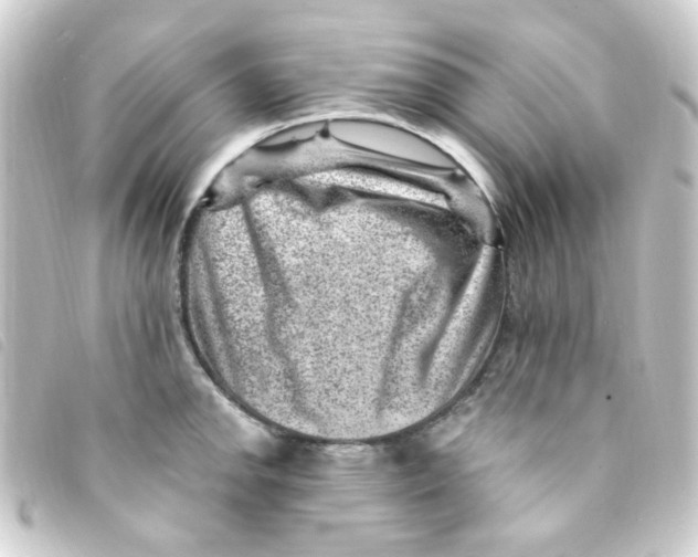 X0000093261142200710241328