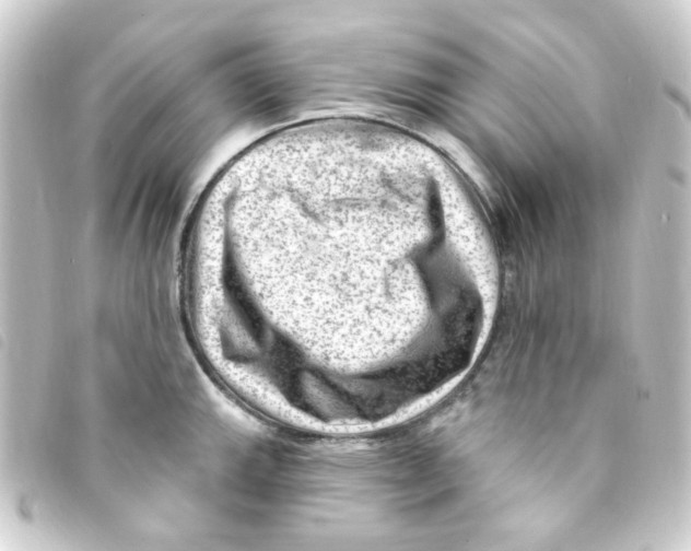 X0000093261143200710241328