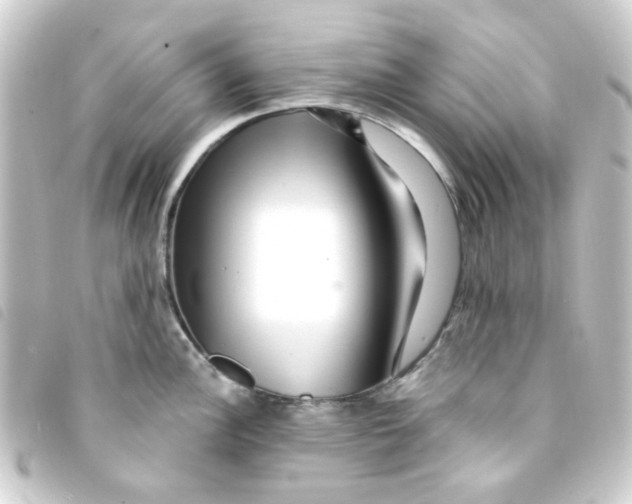 X0000093261148200710241328