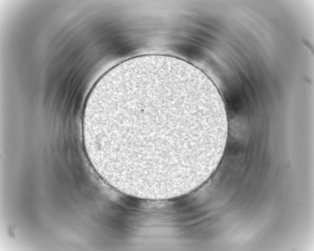 X0000093261150200710241328