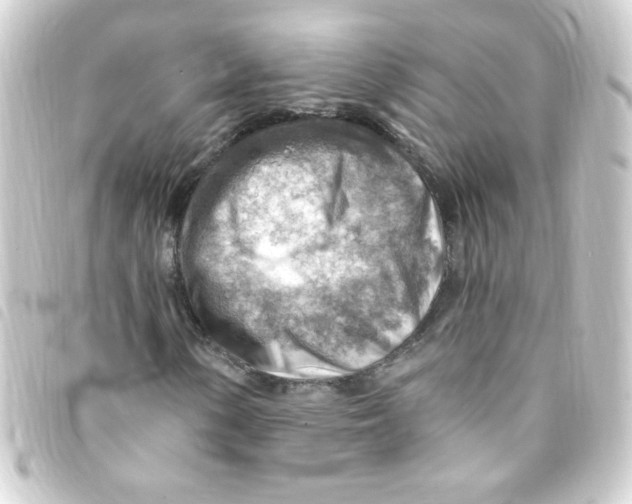 X0000093261154200710241328