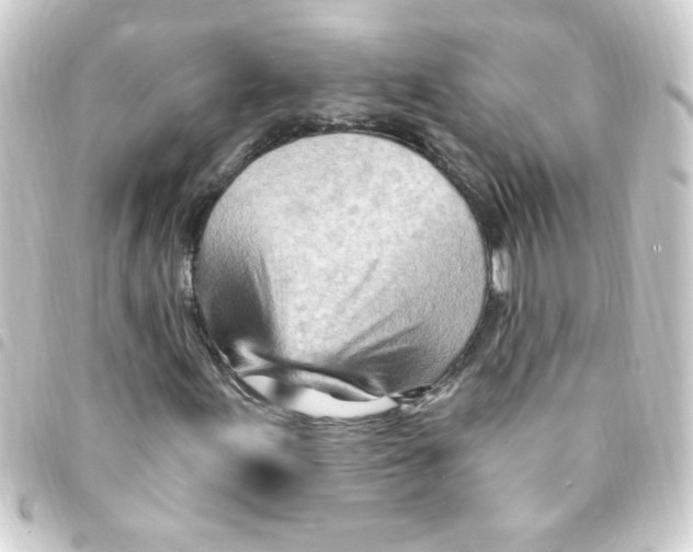X0000093261155200710241328