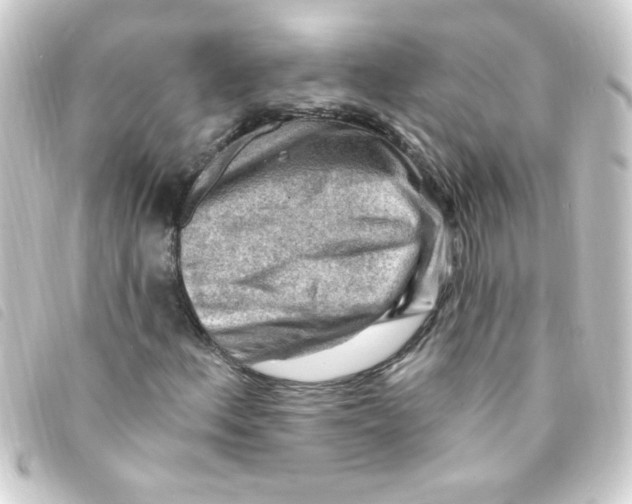 X0000093261156200710241328
