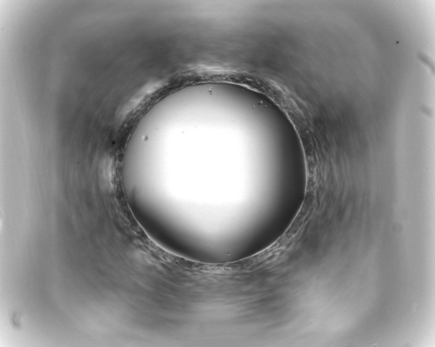 X0000093261157200710241328
