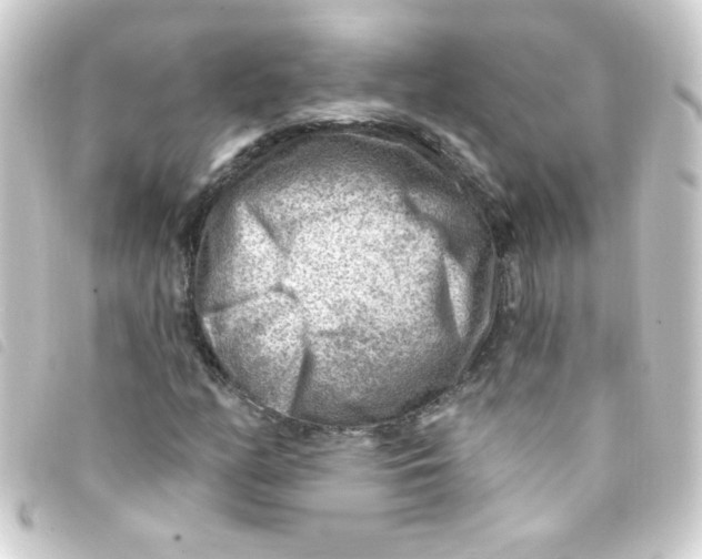 X0000093261158200710241328