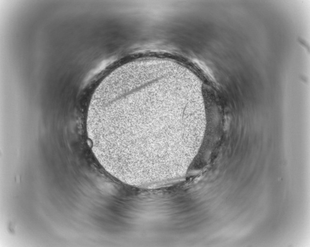X0000093261159200710241328
