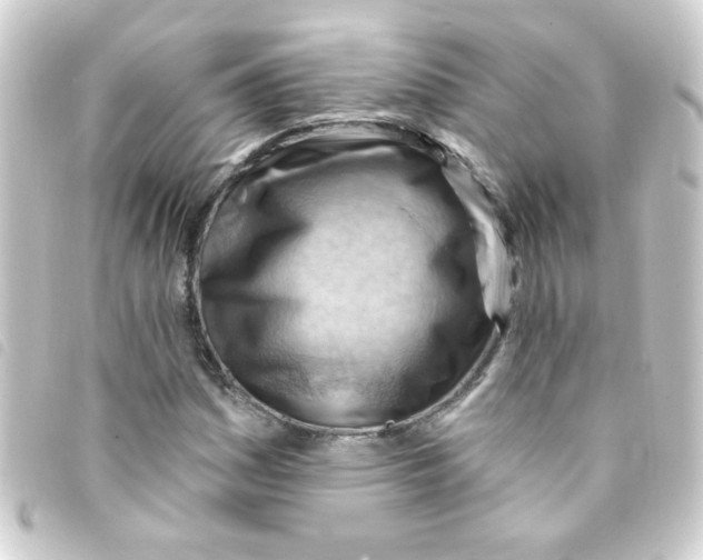 X0000093261161200710241328
