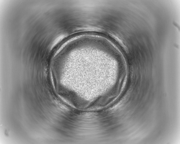 X0000093261163200710241327
