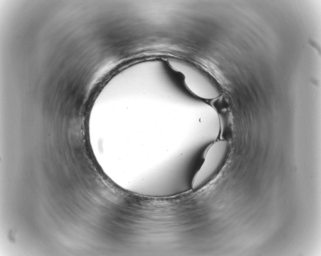 X0000093261164200710241327