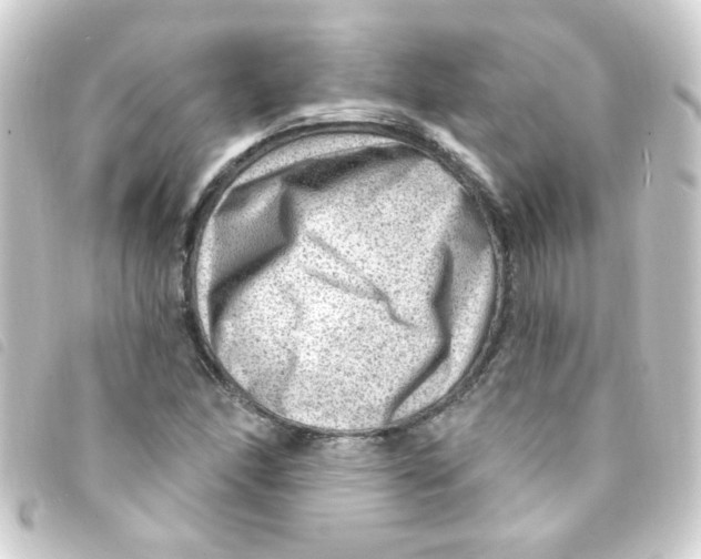 X0000093261166200710241327