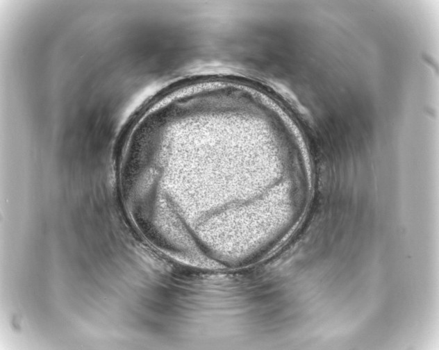 X0000093261167200710241327