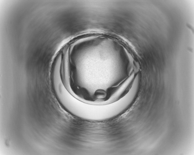 X0000093261168200710241327