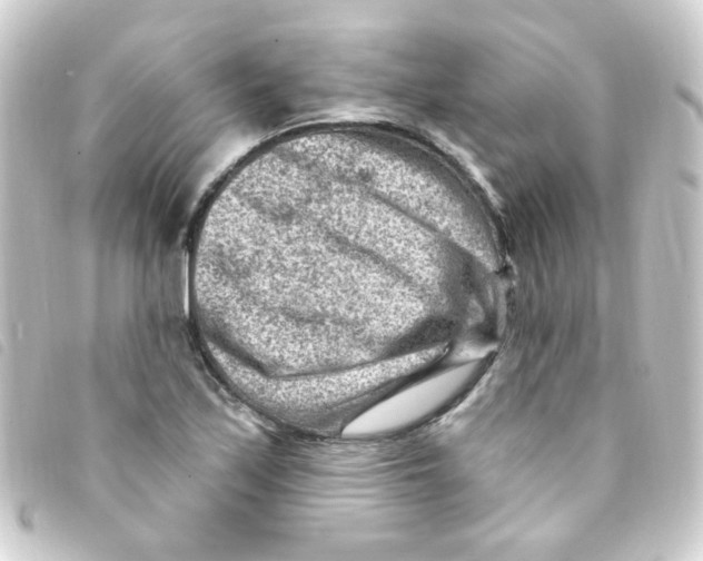 X0000093261171200710241327