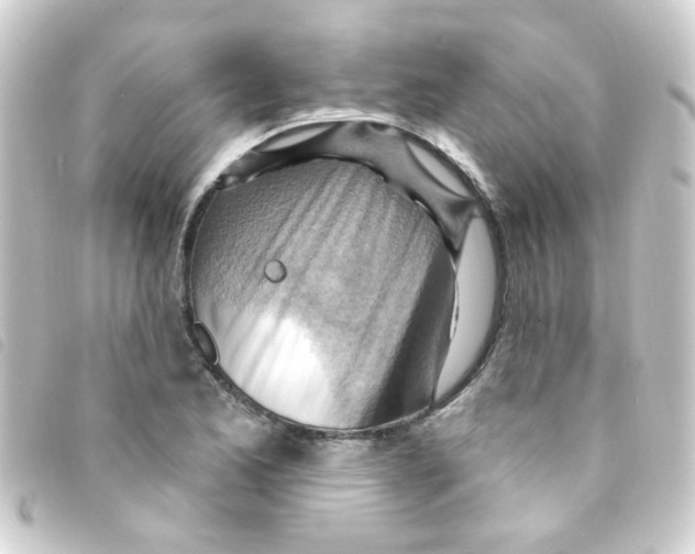 X0000093261173200710241327