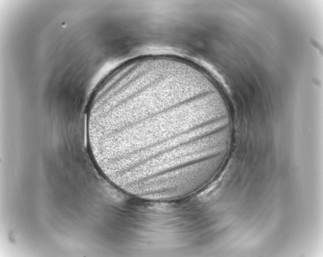 X0000093261175200710241327